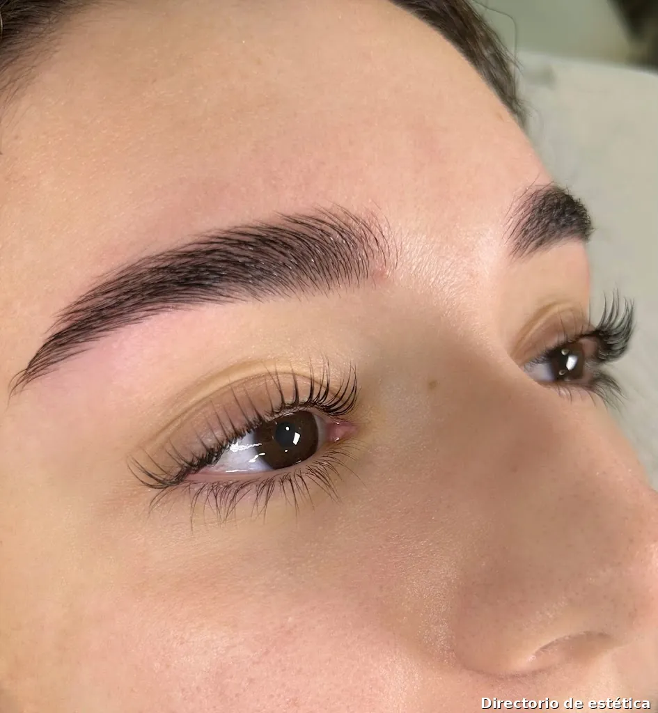 Heidy Romo Microblading "Experta en Cejas" Maquilladora
