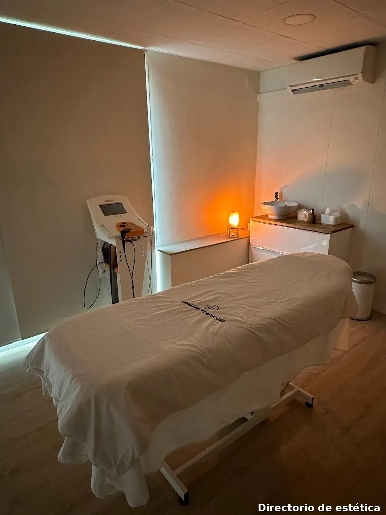 Minerva Institut De Bellesa