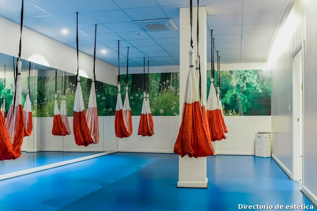 Soma Fisioterapia y Salud Activa