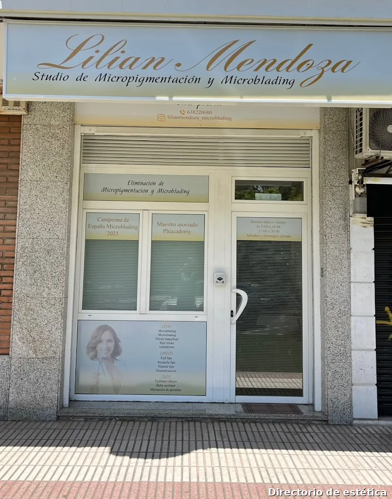 Lilian Mendoza Studio de Micropigmentación y Microblading