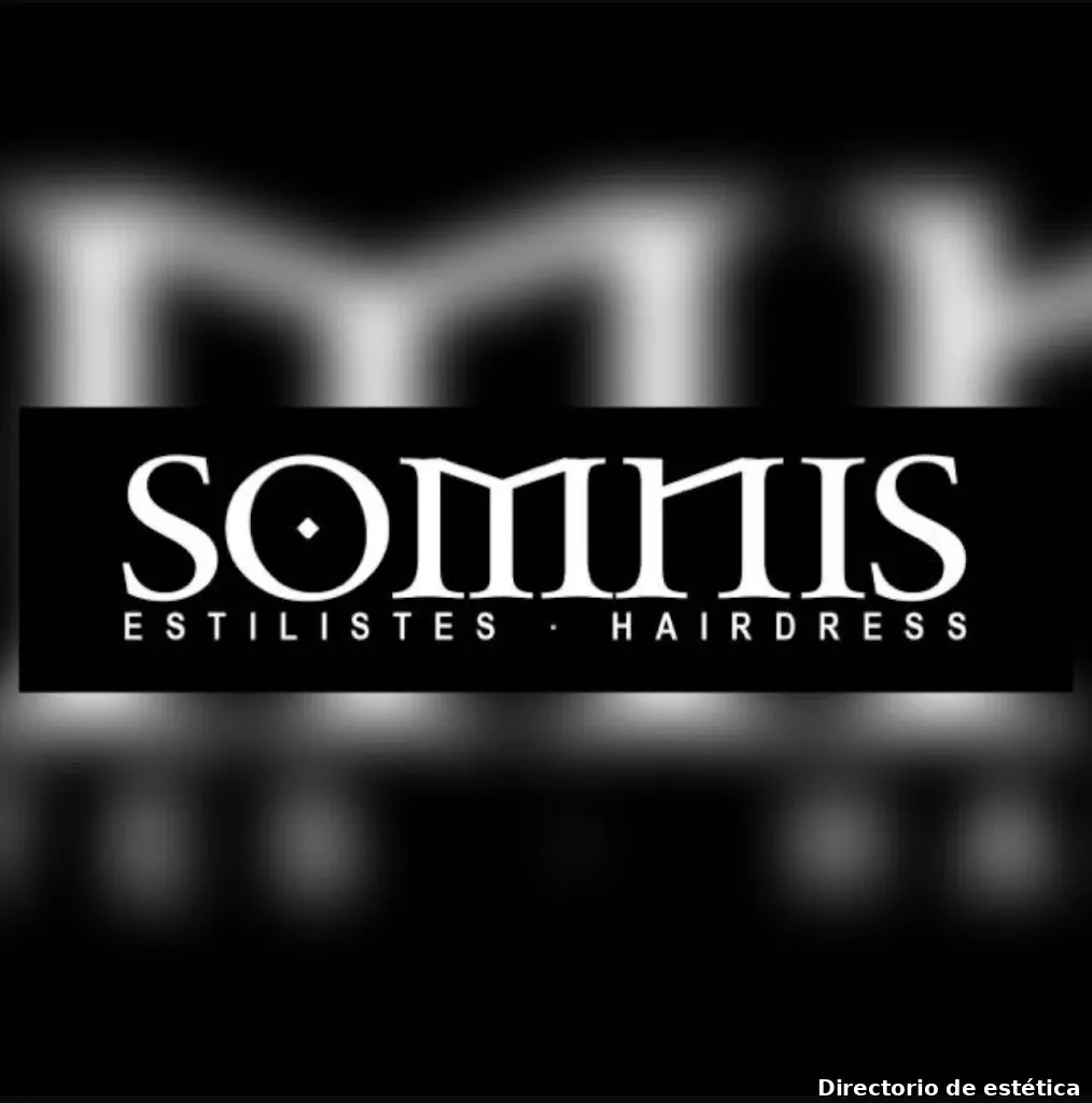 Somnis Estilistes Hairdress