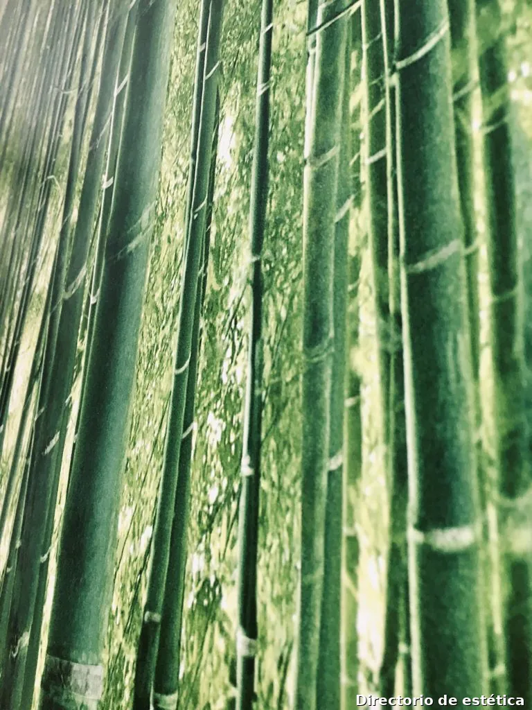 Centro Opalo Santa Cruz